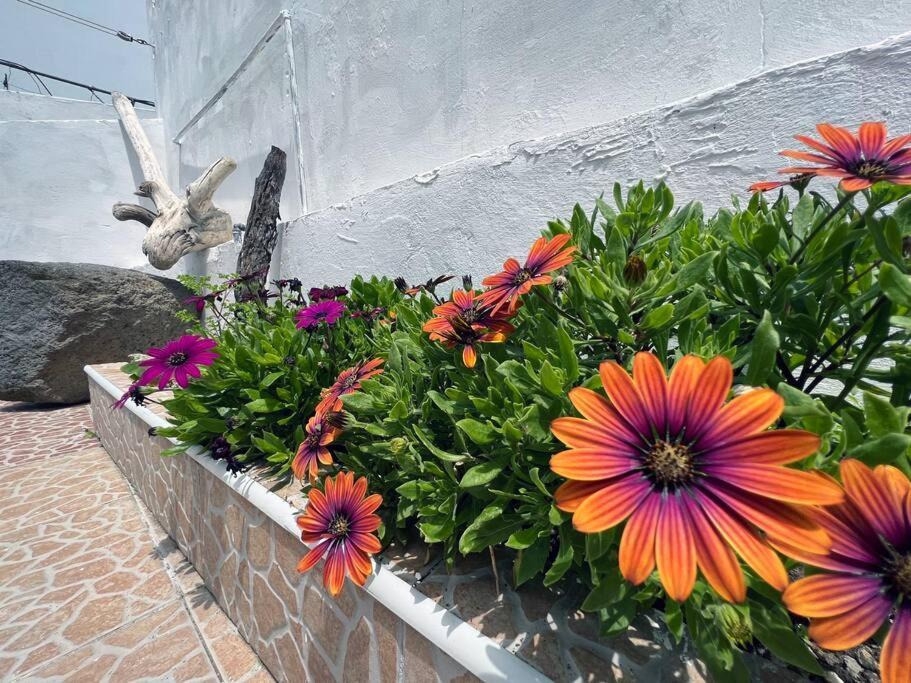 Casa Mar Villa Ponta Delgada Eksteriør bilde